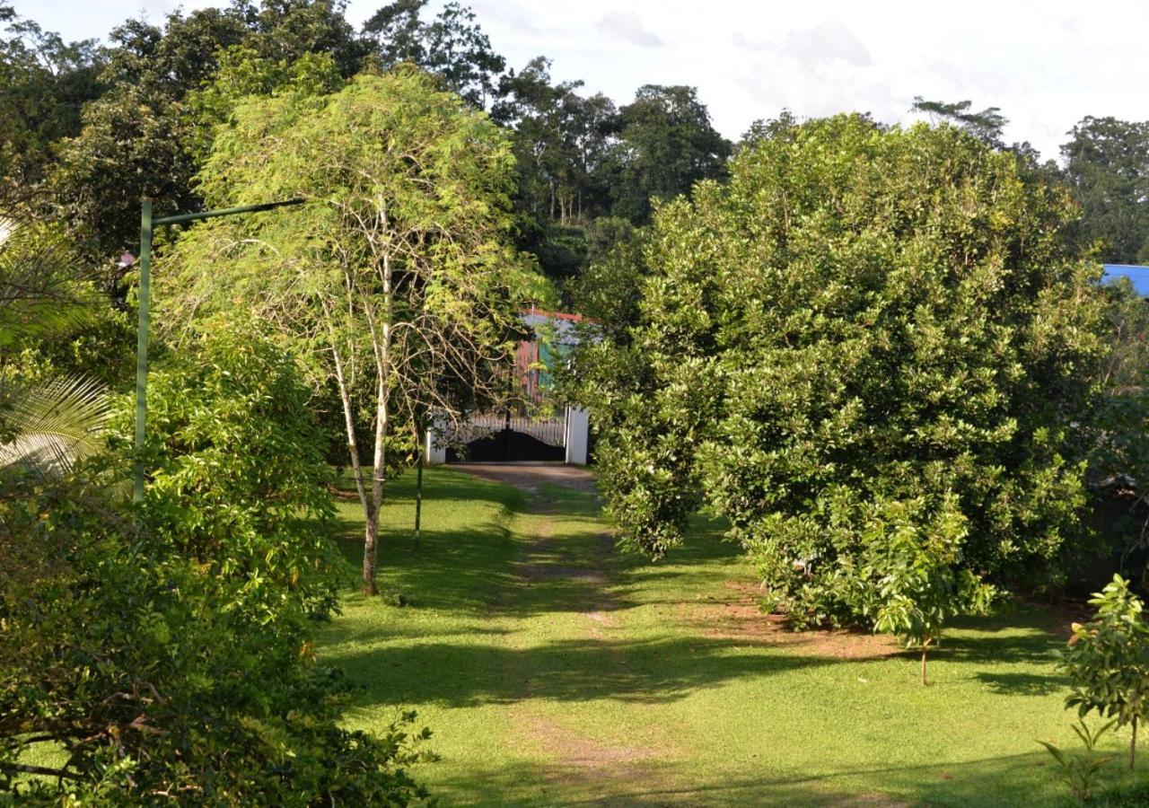 Вилла Casa Kamagu Ла Фортуна Экстерьер фото